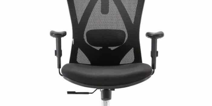 fauteuil de bureau ergonomique SIHOO M18